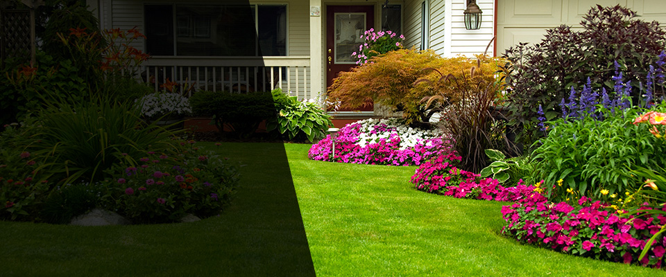 Lewes Landscapers