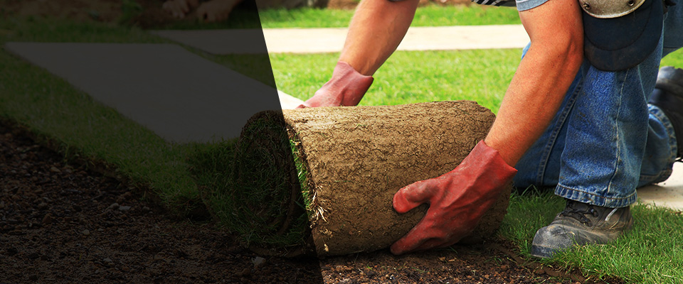 Lewes Landscapers